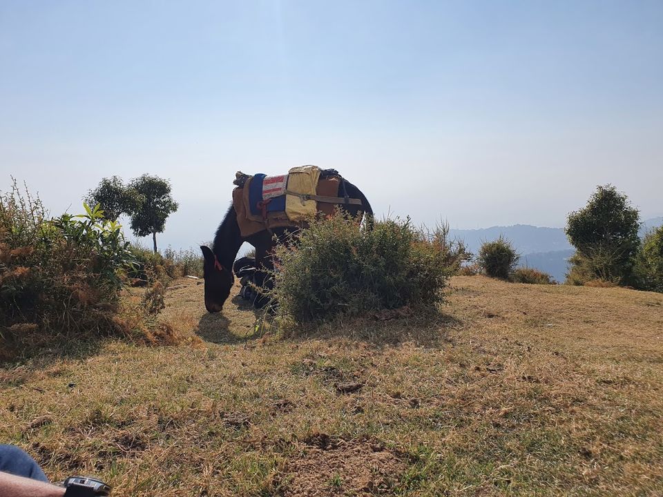 Photo of Workation 2020 - Day13: Triund Trek, Camping on the Top by Divya Golyan