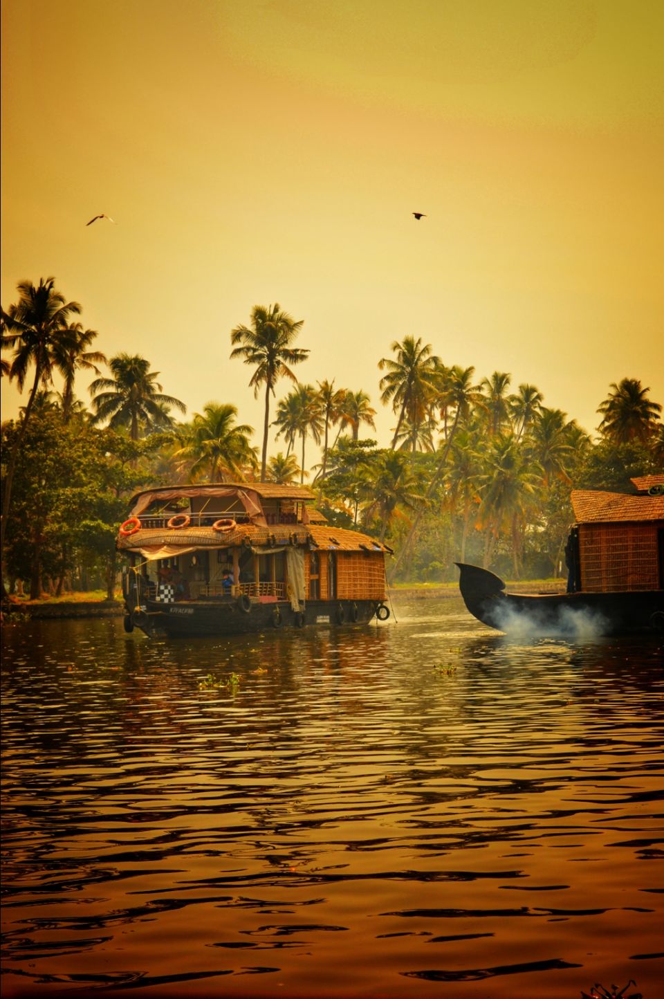 Photo of Alleppey, Kerala, India by swati Chaudhary