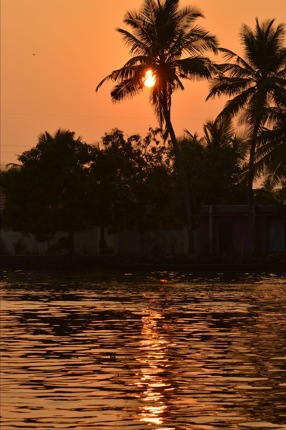 Photo of Alleppey, Kerala, India by swati Chaudhary