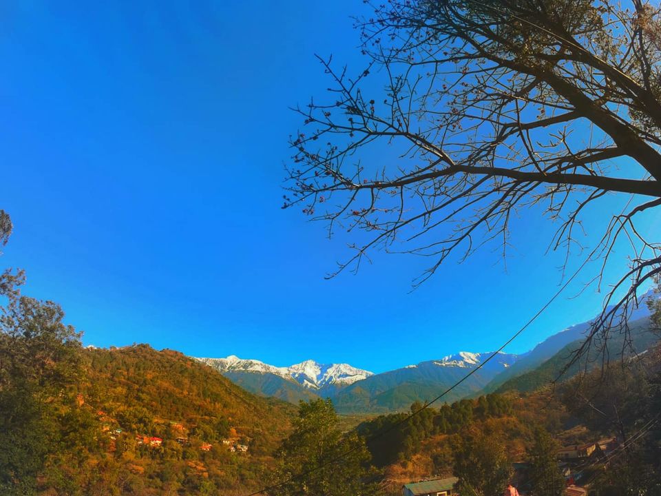 Photo of WHAT HAS TRAVEL TAUGHT ME? by Bhavya Tejwani