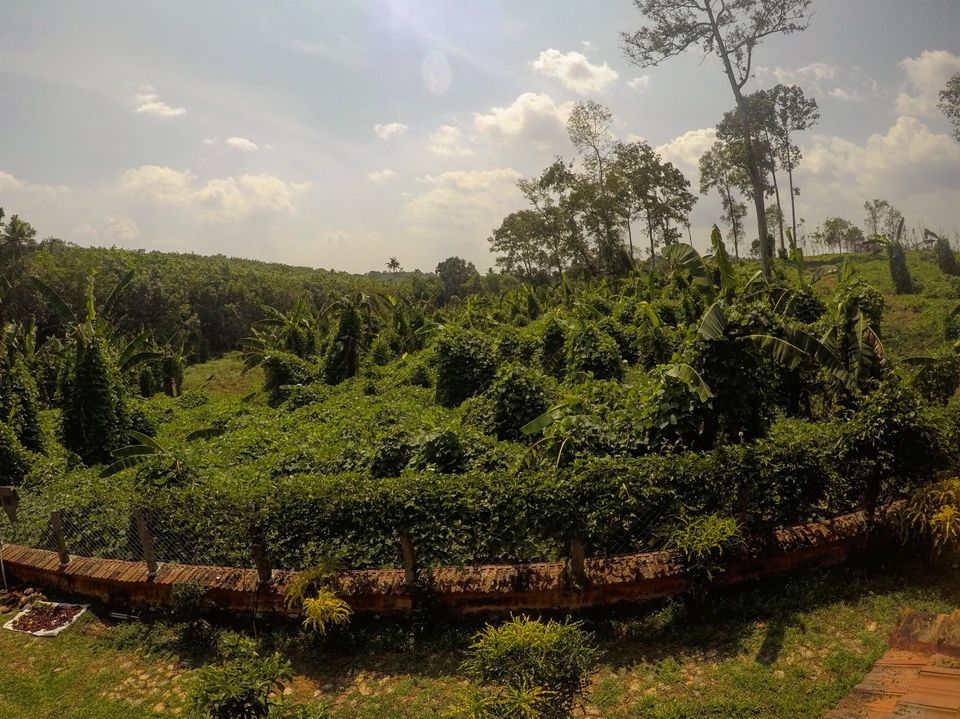 Photo of Mallappally, Kerala, India by Eeshat Tiwary