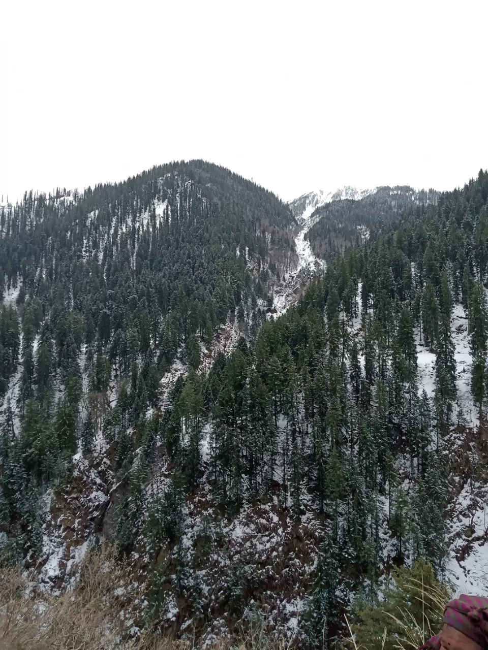 Photo of Lost in kasol by Shashank Shah