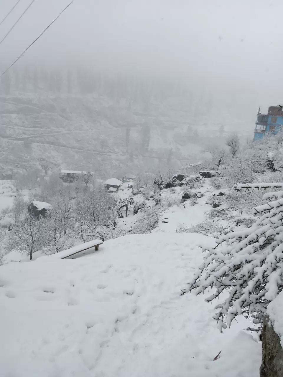 Photo of Lost in kasol by Shashank Shah