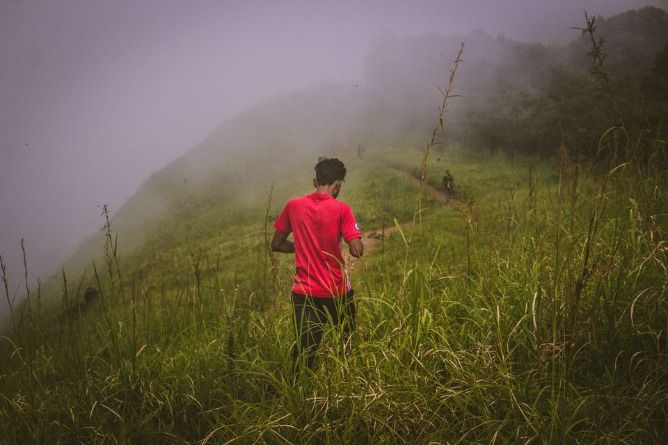 Photo of A Trekking to the Ooty of Kerala by Asif Ak