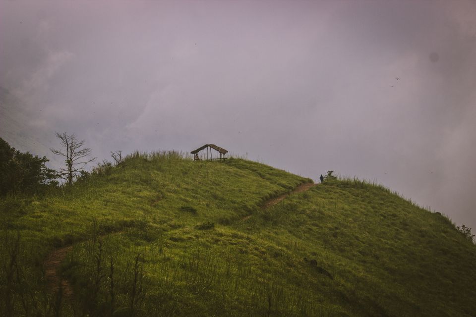 Photo of A Trekking to the Ooty of Kerala by Asif Ak