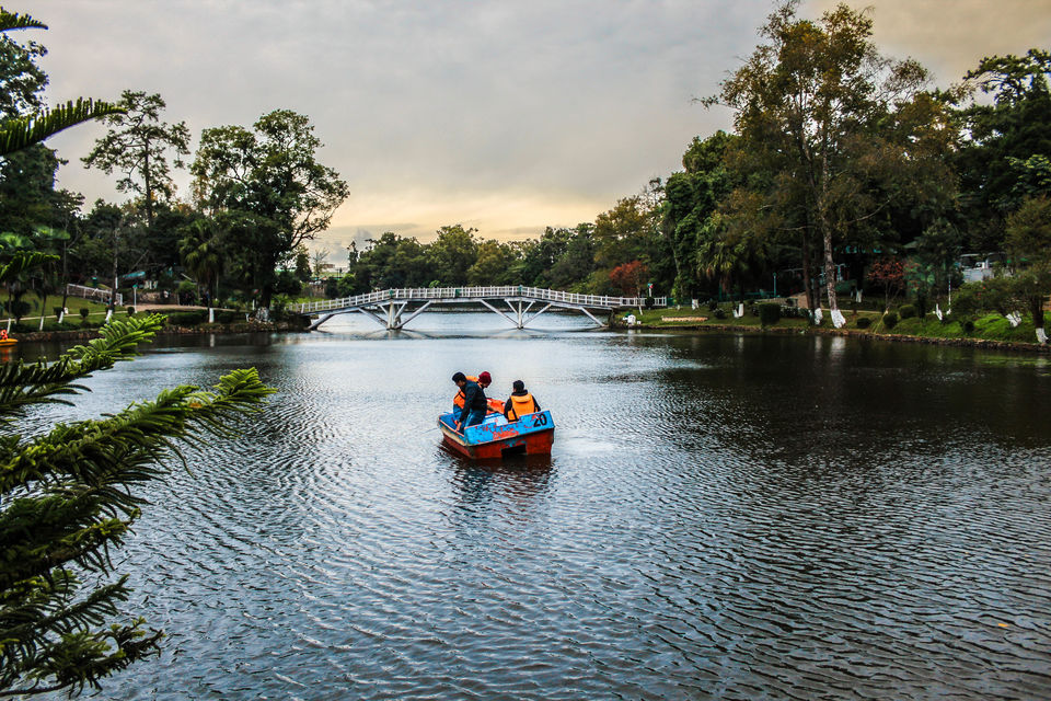 Photo of Ward's Lake, Police Bazar, Shillong, Meghalaya, India by Mukul Bansal