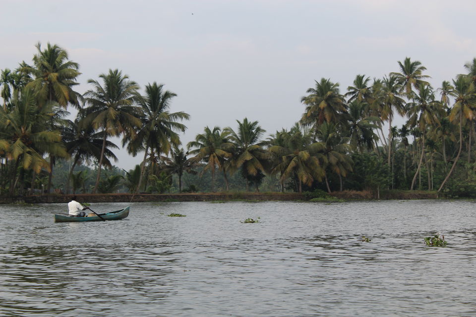 Photo of A week in God's own land - Kerala (Kochi, Alleppey, Munnar) by Zeena Dsouza