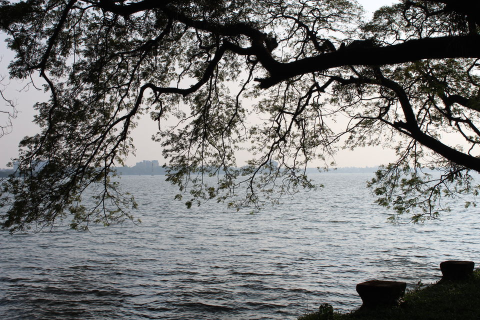 Photo of A week in God's own land - Kerala (Kochi, Alleppey, Munnar) by Zeena Dsouza
