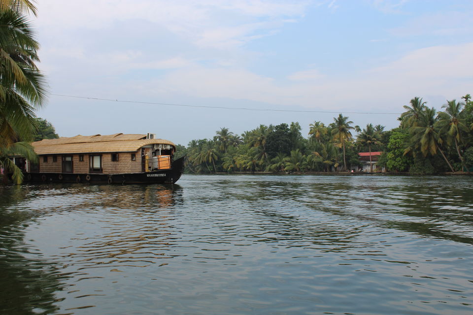Photo of A week in God's own land - Kerala (Kochi, Alleppey, Munnar) by Zeena Dsouza