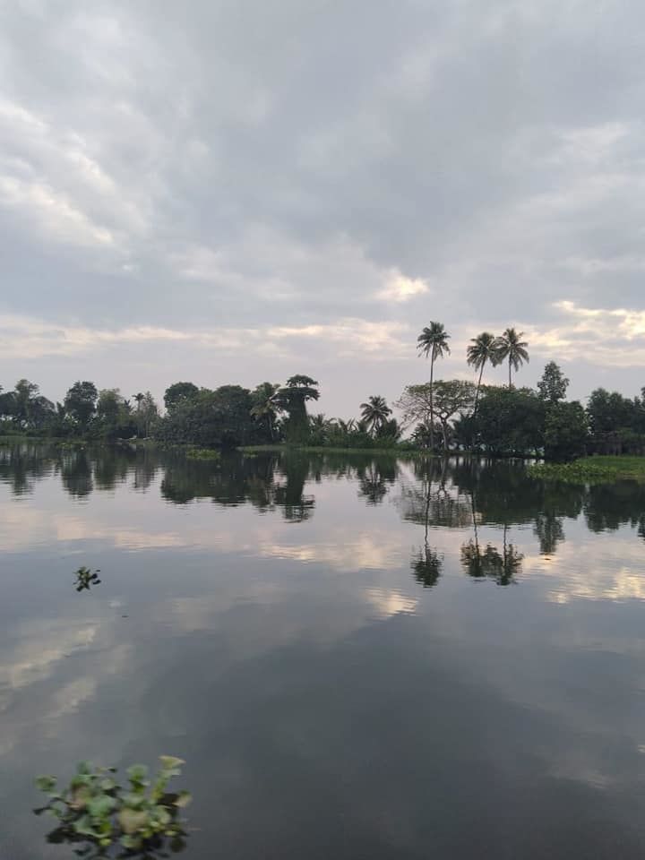 Photo of A week in God's own land - Kerala (Kochi, Alleppey, Munnar) by Zeena Dsouza