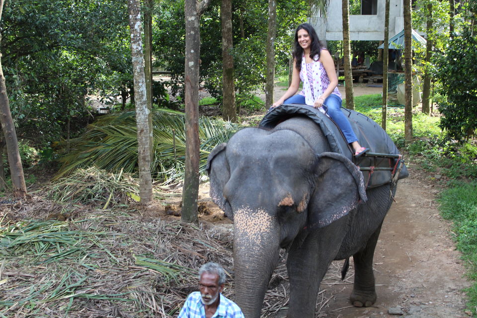 Photo of Munnar, Kerala, India by Zeena Dsouza