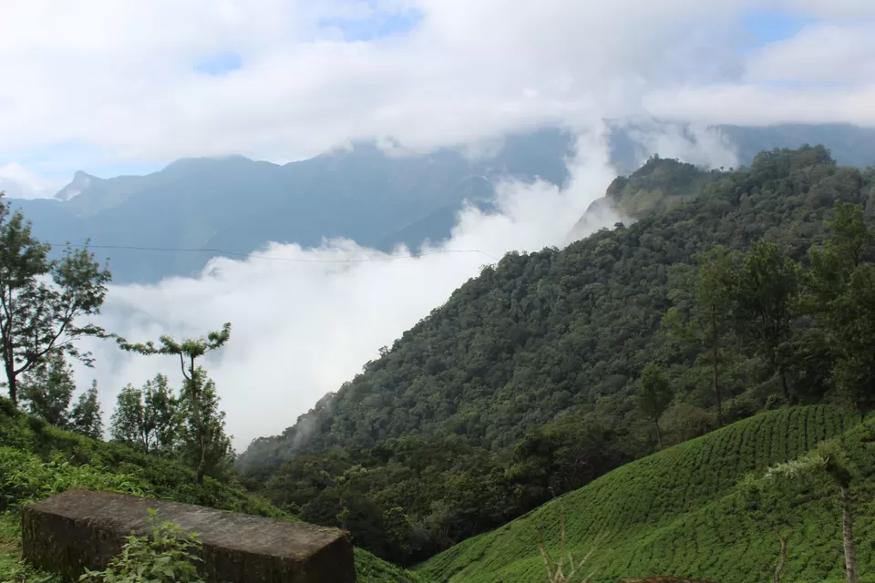 Photo of Munnar, Kerala, India by Zeena Dsouza