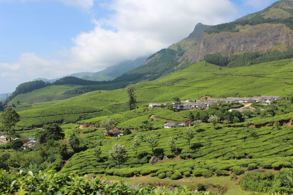 Photo of Kolukkumalai, Kottagudi, Tamil Nadu, India by Zeena Dsouza