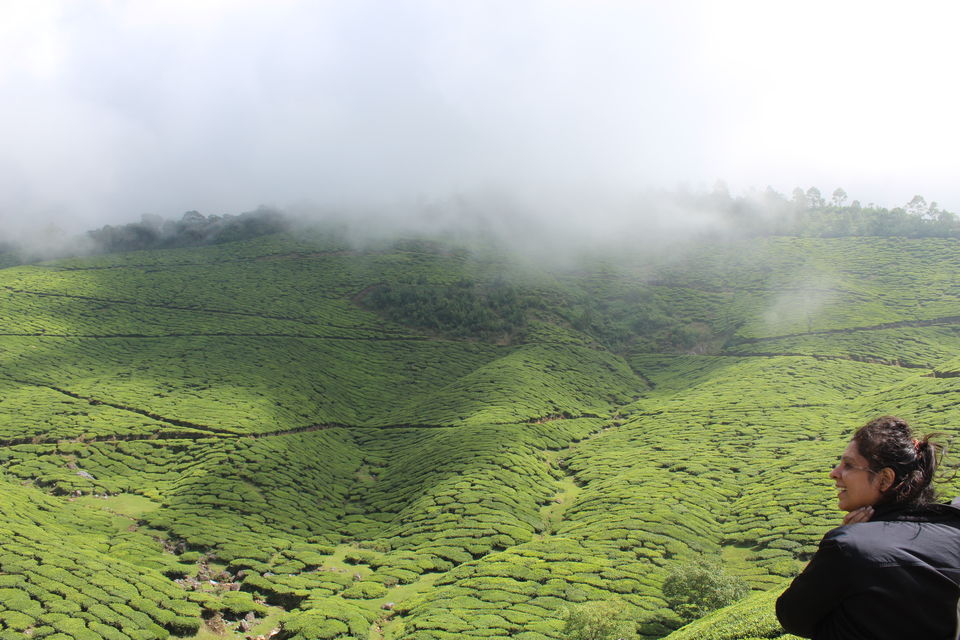 Photo of Kolukkumalai, Kottagudi, Tamil Nadu, India by Zeena Dsouza