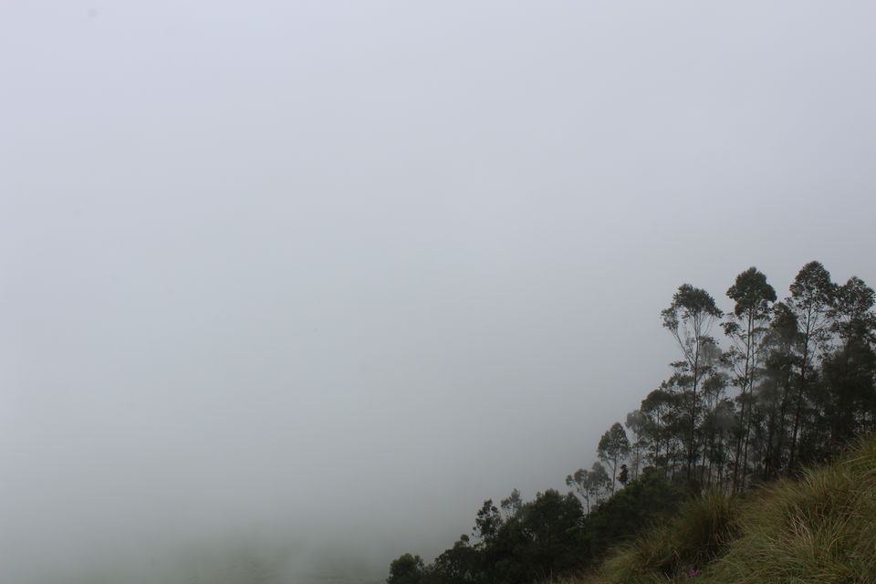 Photo of Kolukkumalai, Kottagudi, Tamil Nadu, India by Zeena Dsouza