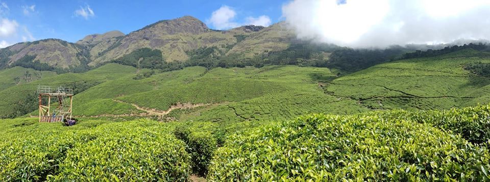 Photo of Kolukkumalai, Kottagudi, Tamil Nadu, India by Zeena Dsouza