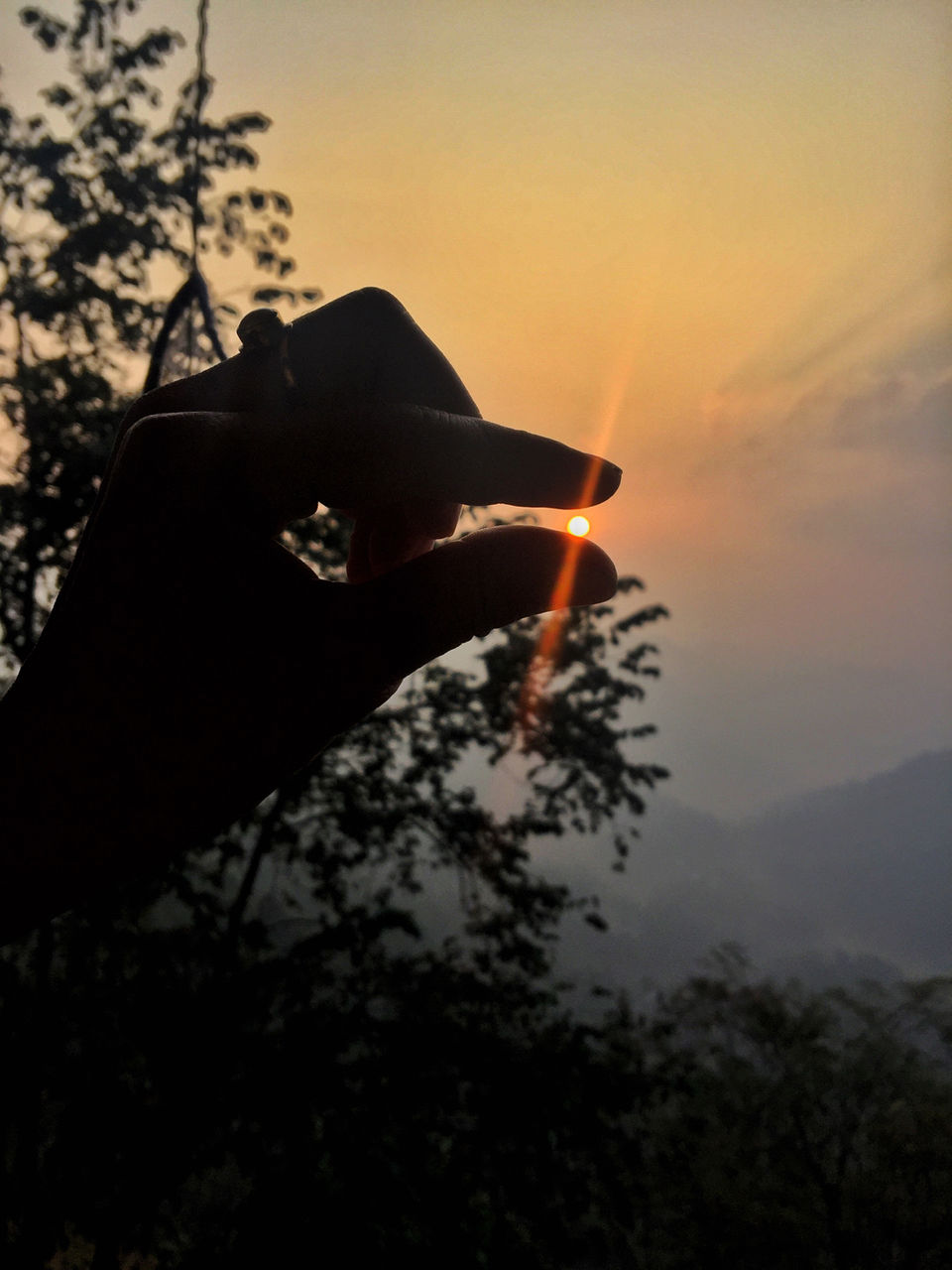 Photo of Munnar Through My Lens by Neingunuo Linyu