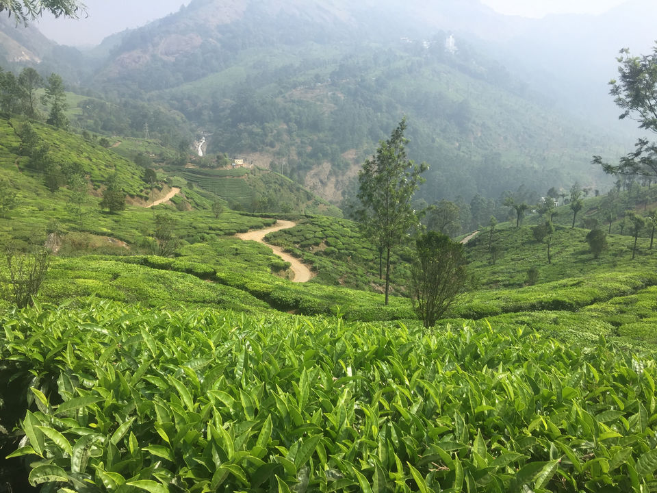 Photo of Munnar Through My Lens by Neingunuo Linyu