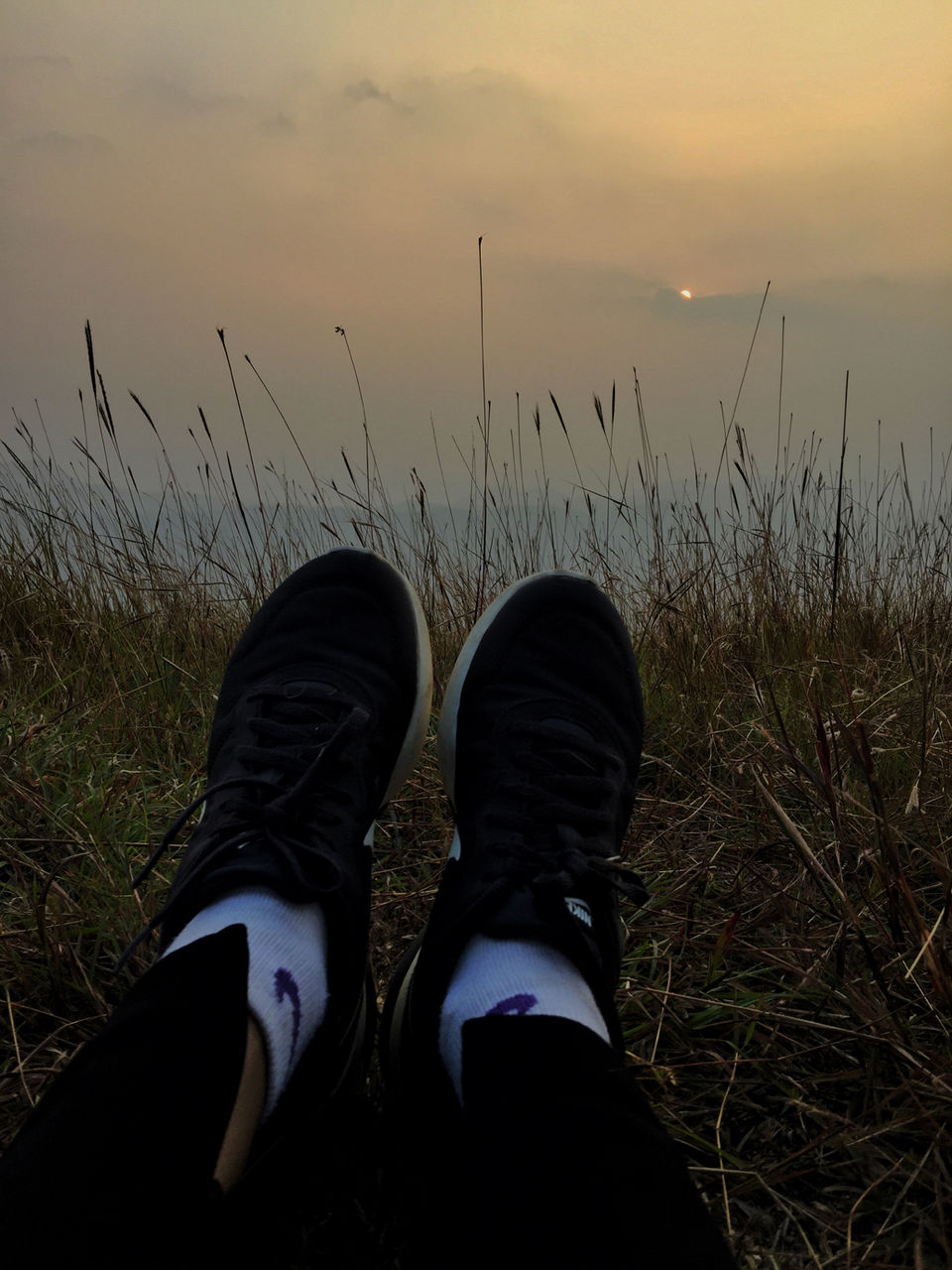Photo of Munnar Through My Lens by Neingunuo Linyu