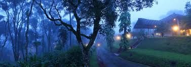 Photo of Getaway to Thekkady Luxury plantation resort & escape to the paradise of nature 2/7 by Tripigo