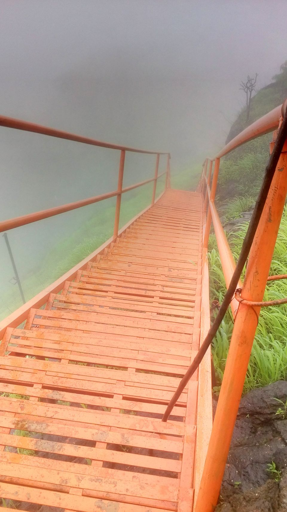 Photo of Sondewadi: A Vantage Point To All That Nature Can Offer! 6/16 by Prajakta Navandar