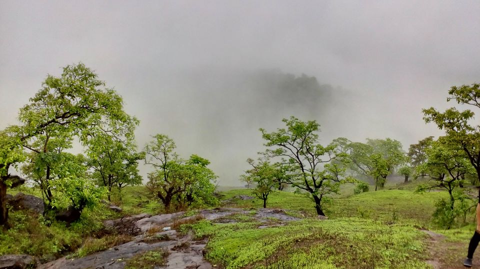 Photo of Sondewadi: A Vantage Point To All That Nature Can Offer! 3/16 by Prajakta Navandar