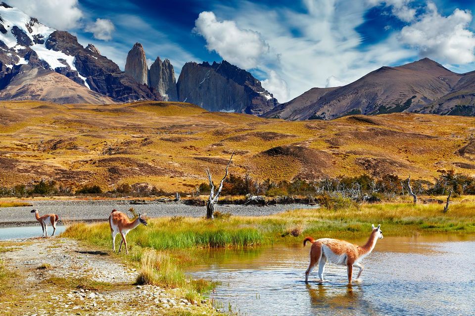 Photo of Spectacular View at Torres Del Paine National Park by Snehal vyas