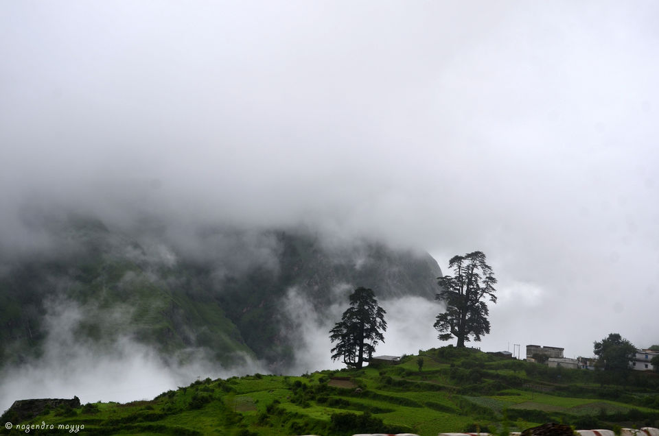 Photo of Joshimath, Uttarakhand, India by Rituraj Banerjee