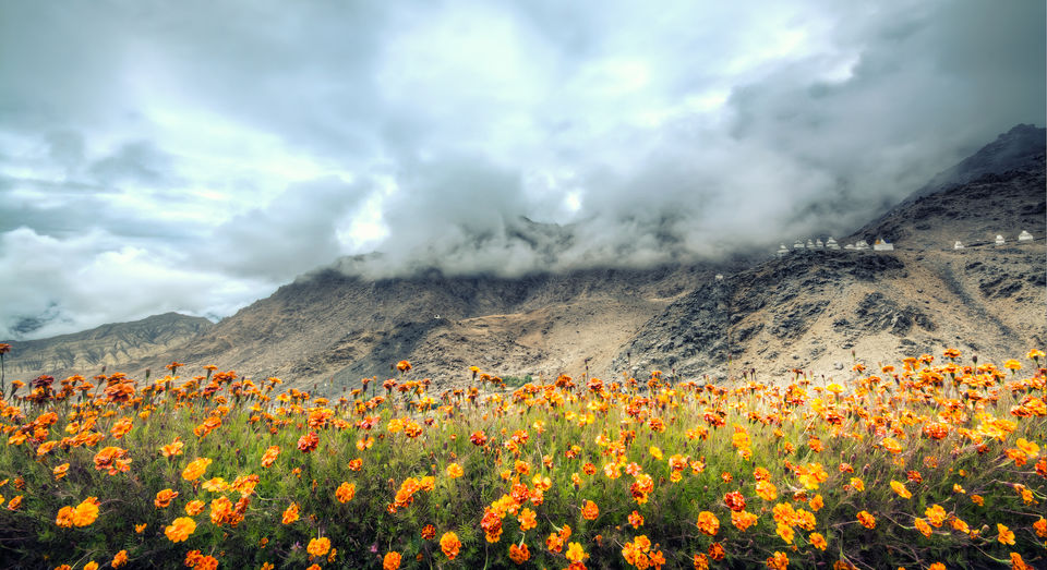 Photo of Sham Valley trek by Rituraj Banerjee