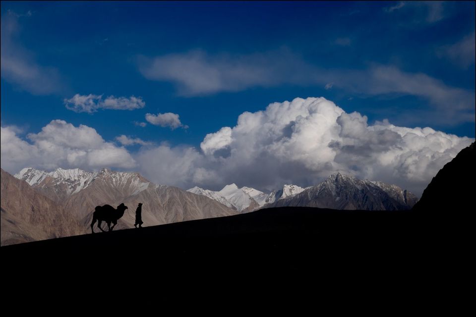 Photo of Sham Valley trek by Rituraj Banerjee