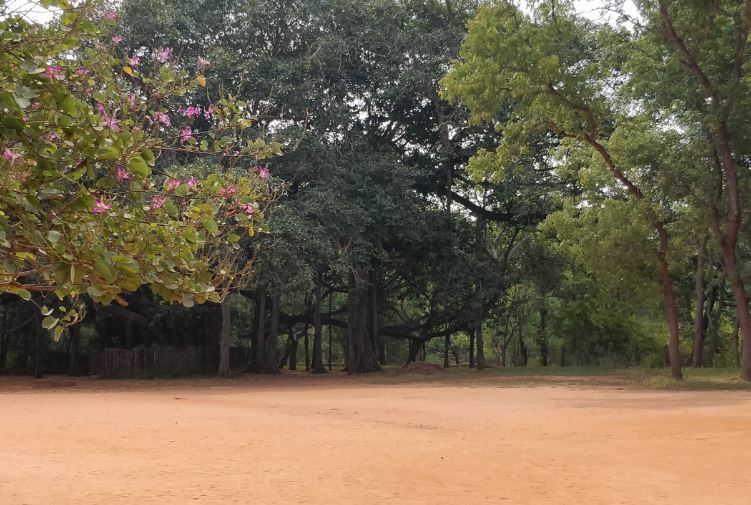 Photo of Auroville, Tamil Nadu, India by Siddharth Naik