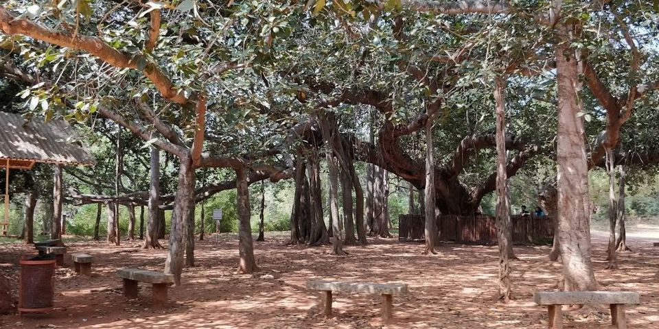 Photo of Things to see in Pondicherry 12/15 by Siddharth
