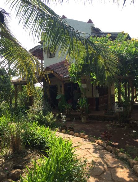 Photo of A Day Trip to Agadi Thota 1/14 by Siddharth Naik