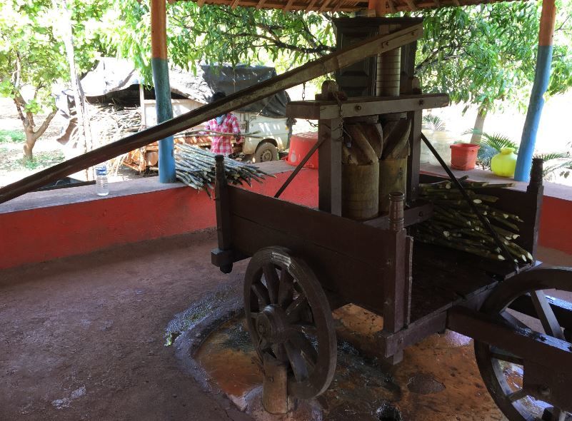 Photo of A Day Trip to Agadi Thota 8/14 by Siddharth Naik