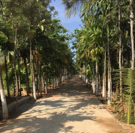 Photo of A Day Trip to Agadi Thota 13/14 by Siddharth Naik