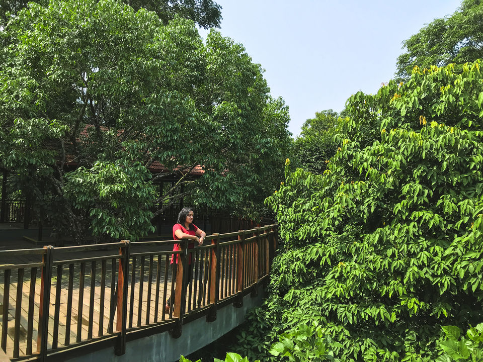 Photo of Stay in the wilderness at Vythiri Mist Resort by Earth's Tenant