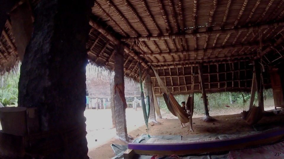 Photo of Volunteering at Sadhana Forest - Travel with Purpose by Zhen Paintal
