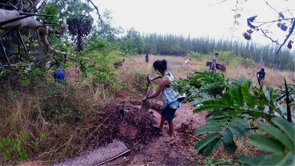 Photo of Volunteering at Sadhana Forest - Travel with Purpose by Zhen Paintal