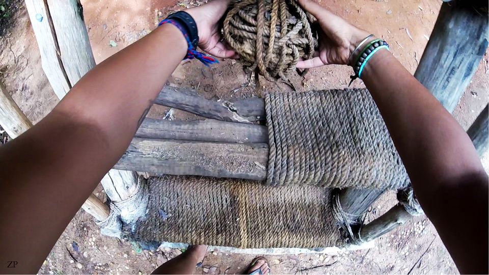 Photo of Volunteering at Sadhana Forest - Travel with Purpose by Zhen Paintal