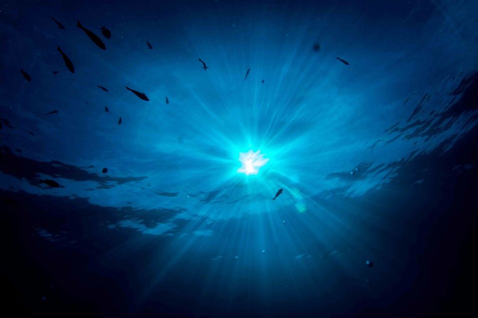 Photo of The Underwater Festival & Diving in India 1/5 by Zhen Paintal