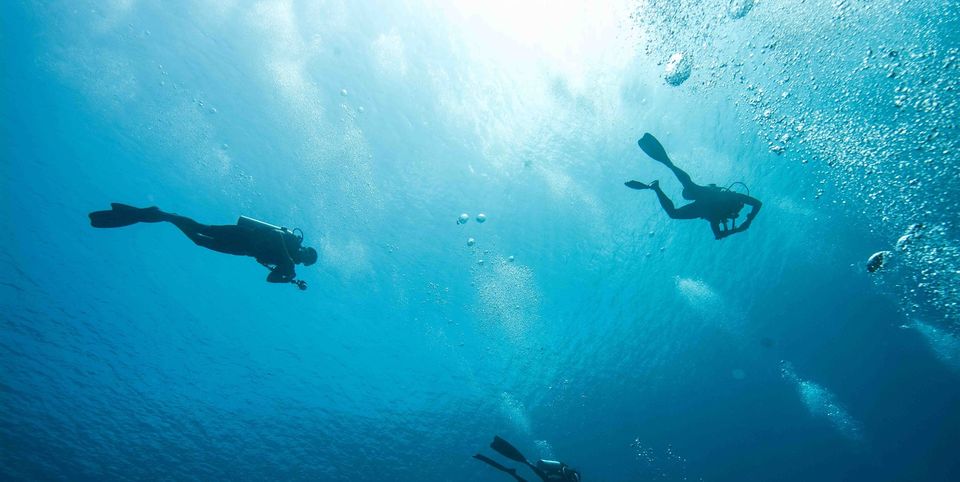 Photo of The Underwater Festival & Diving in India 5/5 by Zhen Paintal