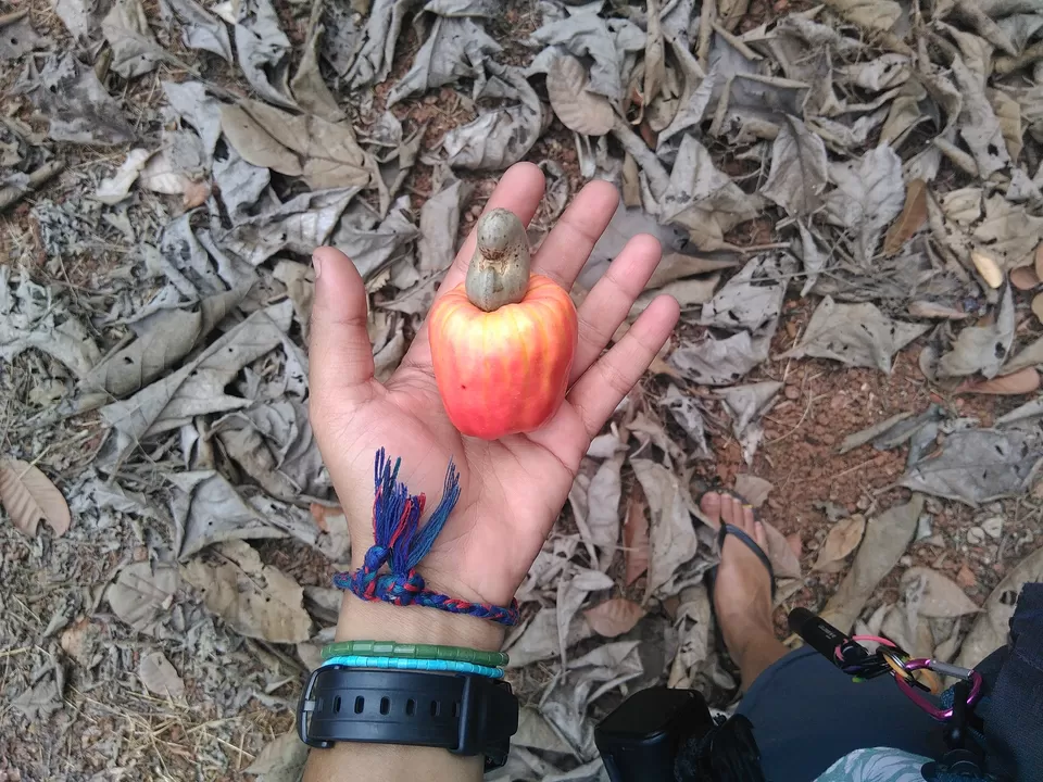 Photo of Goa, India by Zhen Paintal