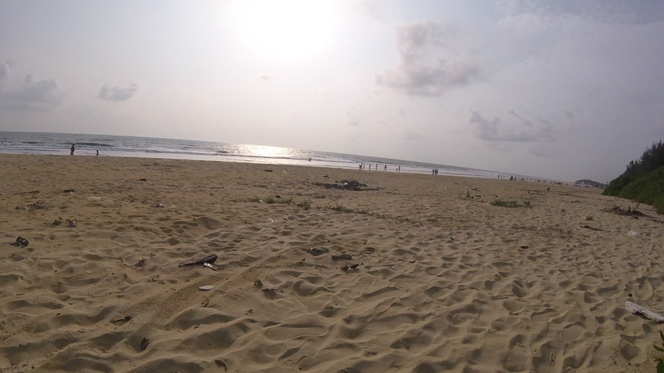 Photo of Sasihithlu, Karnataka, India by Zhen Paintal