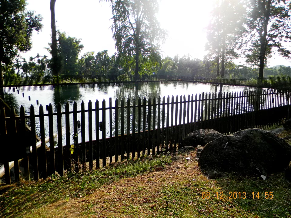 Photo of Samsing Tea Garden, Samsing Tea Garden, West Bengal, India by Ashima Banerjee