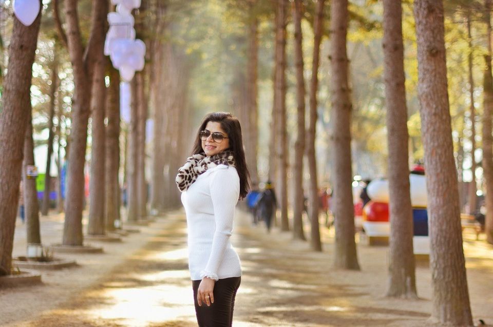 Photo of Nami Island: This K-Pop Destination will make you fall in love again - Sweet Sharing by Garima Nag