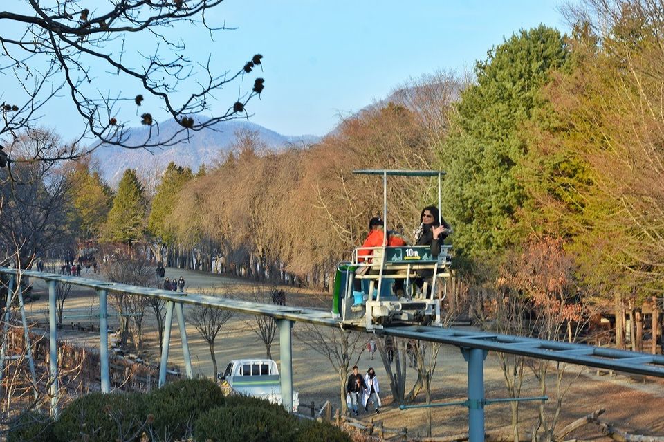 Photo of Nami Island: This K-Pop Destination will make you fall in love again - Sweet Sharing 5/7 by Garima Nag