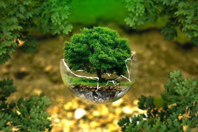 Photo of 5 Ethical Travel Tips With The Environment In Mind - Sweet Sharing by Garima Nag
