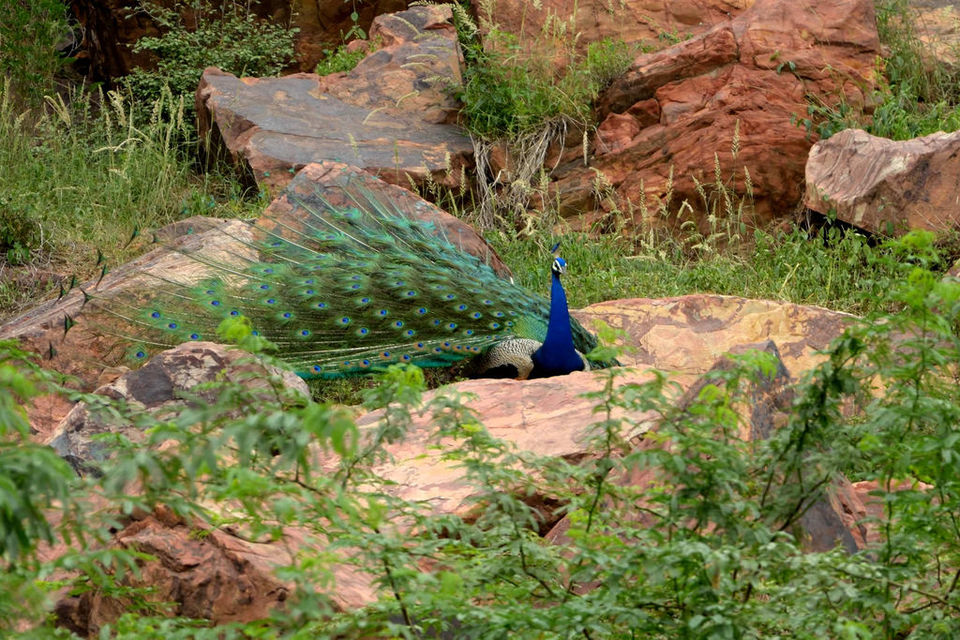 Photo of Delhi-Jaipur? Neemrana- You had me enthralled !!! by iam_sulabhthapa