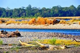 Photo of Wildlife Sanctuaries in India - Best Place To See Tigers In India 4/5 by Shifali (Nature Lover)
