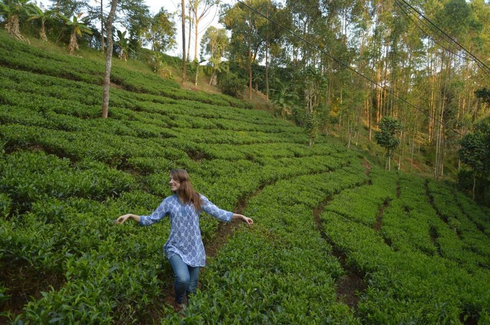 Photo of For solo women in India there are many OMG travel destinations. 8/12 by Shifali (Nature Lover)